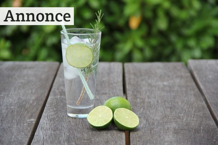 5 tips til at skabe den helt perfekte gin & tonic til din næste fest